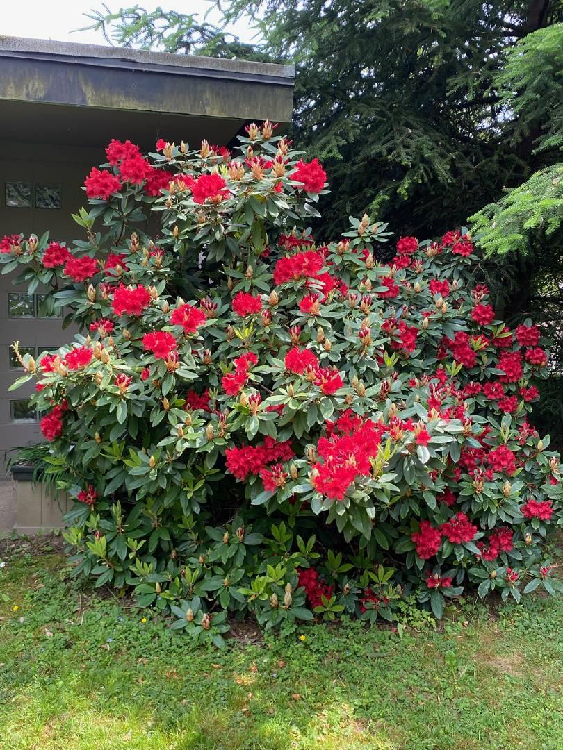 RHCS Grounds - Image 3