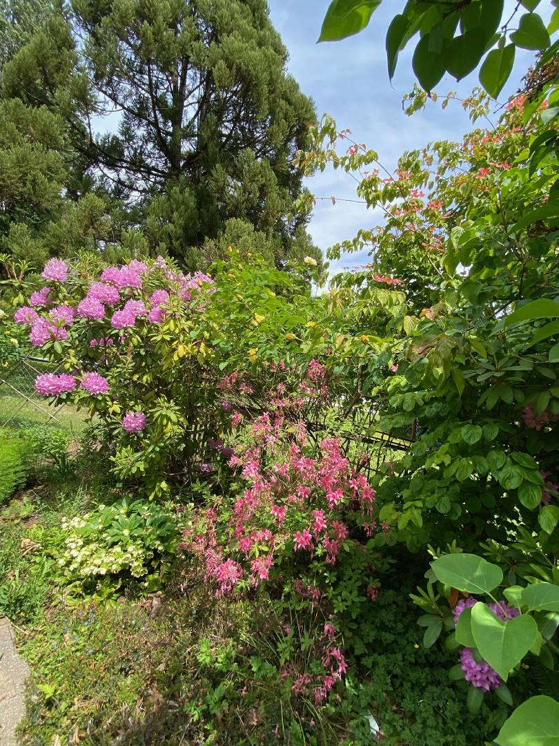 RHCS Grounds - Image 6