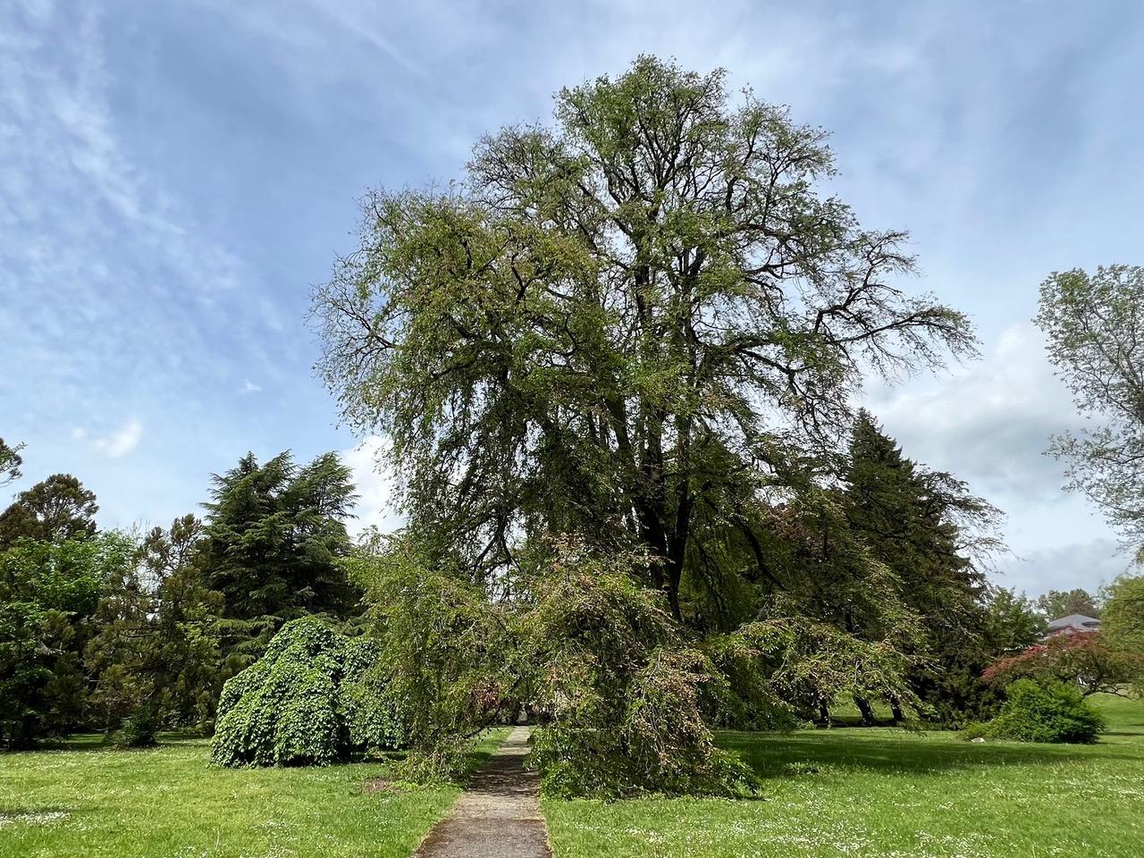 Hero Background Image