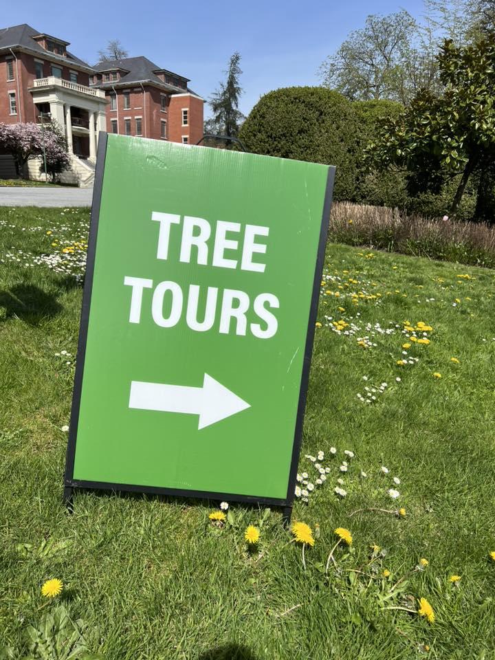 Our Achievements - Image 2