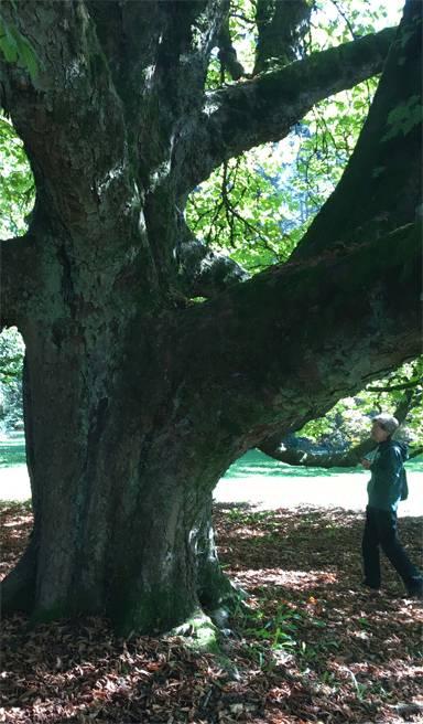 In memory of Donna Crosby - Image 2