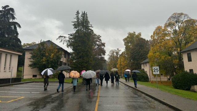 Hero Background Image